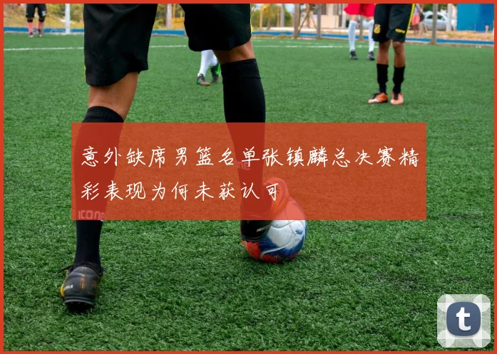 意外缺席男篮名单张镇麟总决赛精彩表现为何未获认可