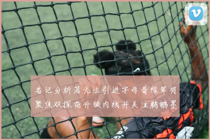 名记分析若无法引进字母哥绿军将聚焦双探花升级内线并关注鹈鹕墨菲