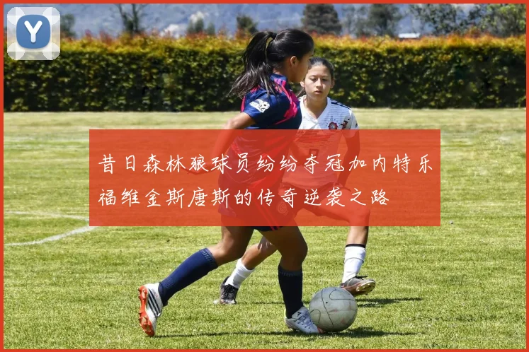 昔日森林狼球员纷纷夺冠加内特乐福维金斯唐斯的传奇逆袭之路